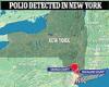 Tuesday 16 August 2022 06:13 PM Polio may have been circulating in New York as early as APRIL trends now