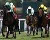 sport news Robin Goodfellow's racing tips: Best bets for Thursday, August 18 trends now