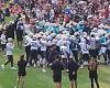 sport news Patriots and Panthers square off AGAIN in joint practice... marking FOUR FIGHTS ... trends now
