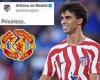 sport news Atletico Madrid mock reports linking Joao Felix with a move to Manchester United trends now