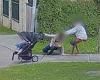 Tuesday 6 September 2022 05:47 PM Pregnant woman pushing pram attacked and pulled by hair in Smallman Place ... trends now