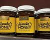 Thursday 8 September 2022 12:05 AM Manuka honey experts find trendy spread can help tackle deadly drug-resistant ... trends now