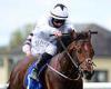 sport news Robin Goodfellow's racing tips: Best bets for Sunday, September 11 trends now