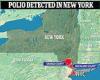 Friday 9 September 2022 05:49 PM New York declares a DISASTER over polio outbreak trends now