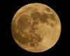 Friday 9 September 2022 05:04 PM Full Harvest Moon will peak tomorrow morning ahead of the official start of ... trends now
