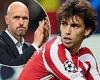 sport news Joao Felix admits 'nothing came' to him regarding Manchester United after ... trends now