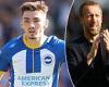sport news Billy Gilmour's 'Brighton career is already in limbo following Graham Potter's ... trends now