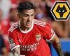sport news Wolves 'will try to sign Enzo Fernandez AGAIN' after they were beaten to his ... trends now