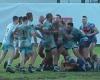 sport news Shocking rugby league brawl between Ray Hadley's son-in-law and Broncos NRL ... trends now