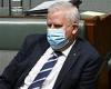 Sunday 18 September 2022 02:41 AM Why Michael McCormack is the last Coalition MP wearing a mask in parliament trends now