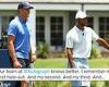 sport news Tiger Woods trolls Tom Brady over hole-out drone shot by sending him video of ... trends now