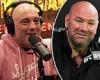 sport news Joe Rogan reveals he has a clause in UFC contract that will see him leave ... trends now