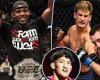sport news Jon Jones, Vitor Belfort, Nick Diaz and more - how UFC's youngest fighters fared trends now
