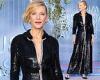 Sunday 25 September 2022 07:47 PM Cate Blanchett looks glamorous in a black sequinned dress at the Sustainable ... trends now