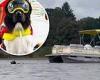 Tuesday 27 September 2022 07:38 PM That's a good dog! Water rescue pup tows 2,800lb pontoon boat back to safety in ... trends now