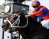 sport news Graffard hits out after Melbourne Cup winner Verry Elleegant misses out on ... trends now