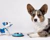 Thursday 29 September 2022 10:38 AM Robot dogs could be taught to mimic behaviours of real canines to make them ... trends now