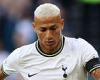 sport news Antonio Conte insists 'fearless' Richarlison will thrive in hostile derby ... trends now