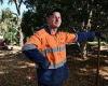 Sunday 2 October 2022 05:24 AM Arborist industry desperate for 20,000 workers to prevent 'tree failure' in ... trends now