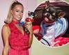 Monday 3 October 2022 09:00 PM Paris Hilton reveals she's spoken to seven PET MEDIUMS who say missing dog ... trends now