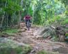 Forget the reef and the rainforest, mountain bike tourism is the next ...