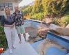 Wednesday 5 October 2022 05:15 AM Devastated couple face $350,000 bill after wall collapsed into their pool trends now