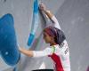 Iranian rock climber Elnaz Rekabi says her hijab fell off by accident during ...