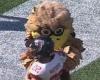 sport news Falcons mascot bizarrely tries to FIGHT a kid during a pee wee game at halftime ... trends now