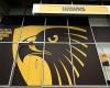 Woman at centre of Hawthorn racism review will not participate in AFL ...