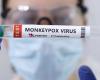 The WHO confirms monkeypox is still a global health emergency, so why did they ...