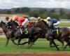 ACT prepares for a future without horse racing, but government denies it wants ...