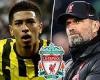 sport news Jude Bellingham: Jurgen Klopp and Liverpool 'agree to go all in on Borussia ... trends now