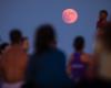 Lunar eclipse: How to watch Tuesday's blood moon in Australia