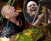 Sunday 6 November 2022 11:55 PM I'm A Celebrity: Mike Tindall is covered in SPIDERS with Sue Cleaver and Owen ... trends now