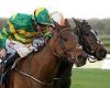 sport news Robin Goodfellow's racing tips: Best bets for Monday, November 7 trends now