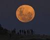 Monday 7 November 2022 11:46 PM Blood moon lunar eclipse: Where to watch Nov 8 lunar event NSW, QLD, Victoria, ... trends now