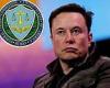 Thursday 10 November 2022 10:17 PM Elon Musk is putting Twitter at risk of BILLIONS in FTC fines, company lawyer ... trends now