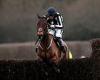 sport news Robin Goodfellow's racing tips: Best bets for Wednesday, November 16 trends now