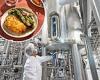 Thursday 17 November 2022 08:11 PM From cells to steak: FDA says meat grown in a LAB is safe to eat, paving the ... trends now