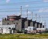 Sunday 20 November 2022 10:08 PM Disaster fears as Europe's biggest nuclear plant in Ukraine is shelled again  trends now