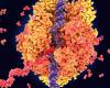 RNA has revolutionised vaccine development, but we've only scratched the ...