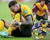 sport news Craig Foster on how Socceroos can cover for injured Martin Boyle at 2022 FIFA ... trends now