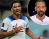 sport news Jude Bellingham 'could be England captain NOW', insists Rio Ferdinand after ... trends now