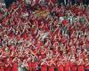 sport news Wales' Red Wall are a twelfth man... there's something special about this team ... trends now