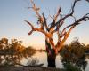 Murray-Darling Basin's new boss says need to incorporate Indigenous knowledge ...