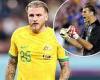 sport news Socceroos great Zeljko Kalac roasts Jason Cummings for France match at 2022 ... trends now