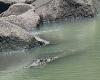 Wednesday 23 November 2022 03:41 AM Cahills Crossing crocodiles: Kakadu National Park photo shows hidden danger at ... trends now