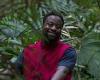 Wednesday 23 November 2022 10:17 PM I'm A Celebrity 2022: Babatúndé Aléshé is the FIFTH star to be eliminated trends now