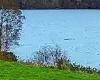 Thursday 24 November 2022 09:23 AM Nessie hunter spots 10ft long 'black shape' on surface of Loch Ness which ... trends now