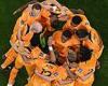 sport news Holland vs Qatar World Cup 2022 - Team news, kick-off time, TV channel, stream, ... trends now
